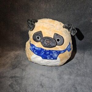 Prince the Dog with bandana